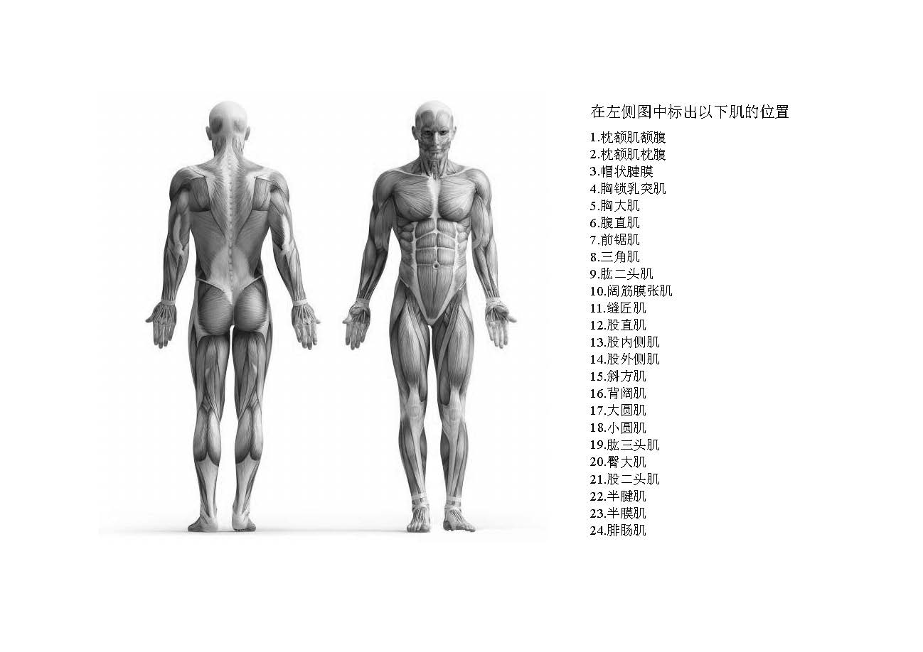 解剖考试图_页面_10.jpg